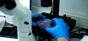 Understanding HTMA (Hair Tissue Mineral Analysis) Testing: A Game-Changer for Your Health
