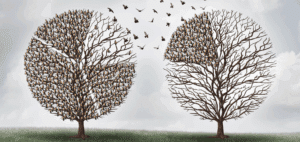 Emotional Transfer Therapy (ETT) Graphic