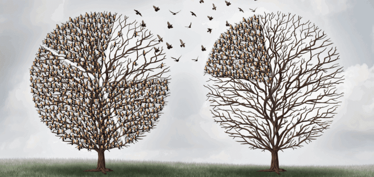 Emotional Transformation Therapy (ETT): A Non-Prescriptive Approach to ADHD, Anxiety, and Trauma